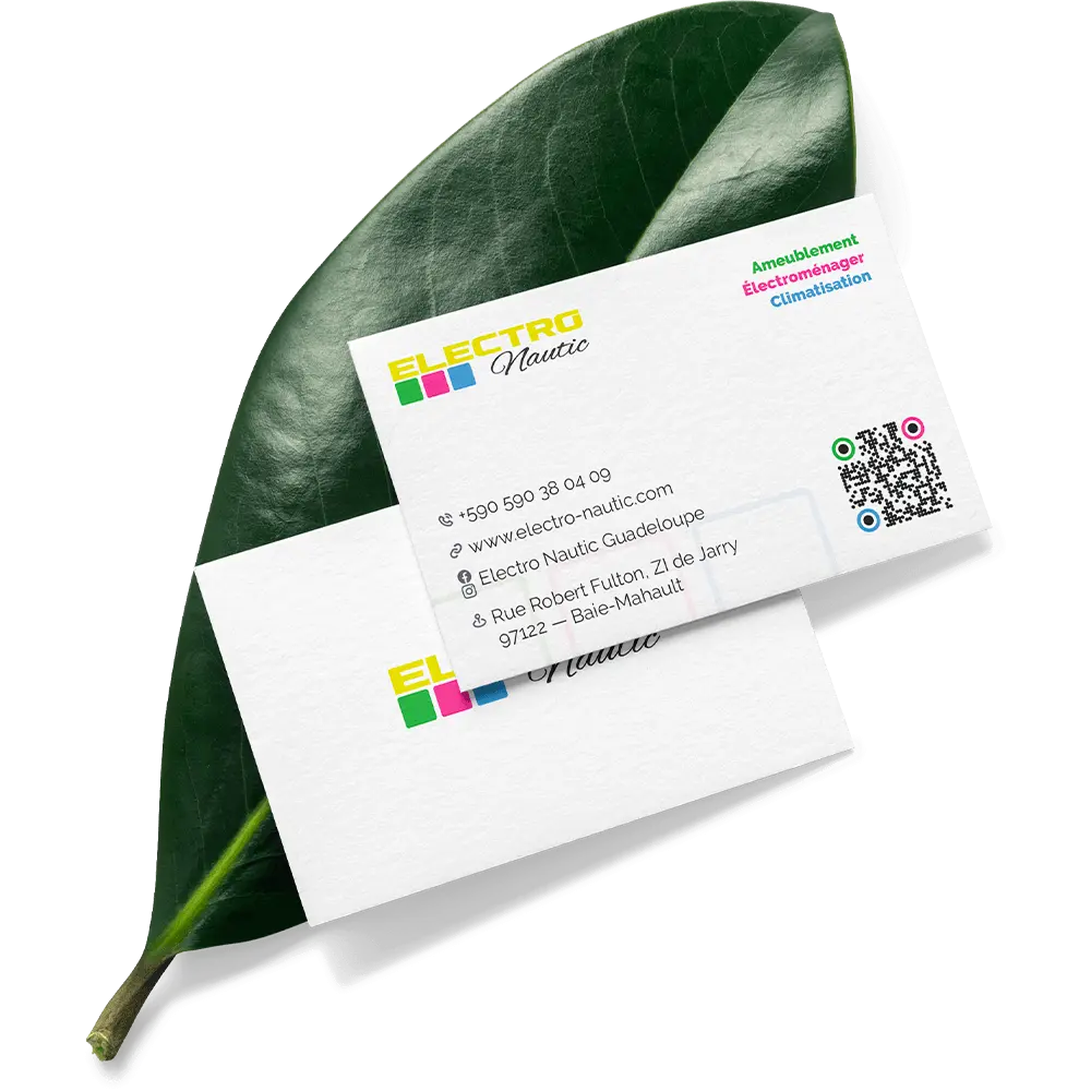services de creation de site internet guadeloupe, création de site internet sur-mesure en guadeloupe par moodeine, identité visuelle et design de marque pour entreprises en guadeloupe, studio web spécialisé wordpress
