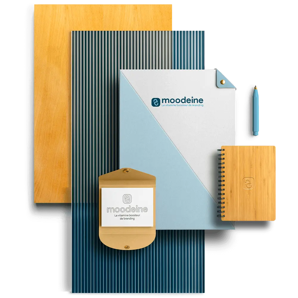 services de creation de site internet guadeloupe, création de site internet sur-mesure en Guadeloupe par moodeine, identité visuelle et design de marque pour entreprises en guadeloupe, studio web spécialisé wordpress